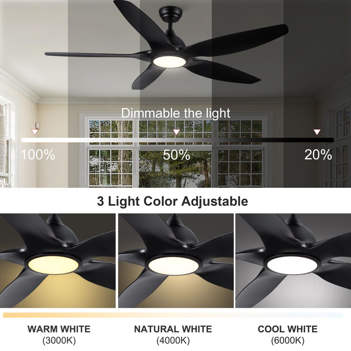 553066631